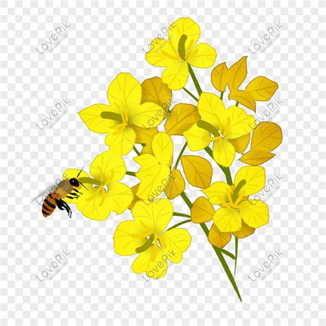 Temukan perbedaan lebah dan bunga bermaindanbelajar com. Sketsa Gambar Lebah Dan Bunga - Contoh Sketsa Gambar