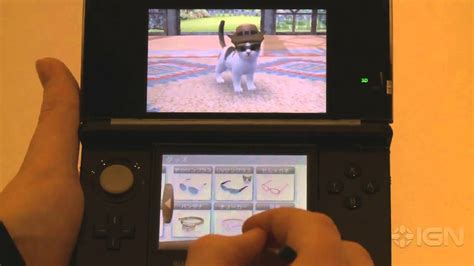Nintendogs And Cats Nintendo 3ds Cat And Dog Gameplay Youtube