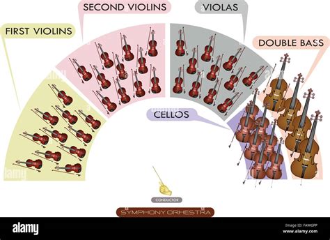 Illustration Collection Of Different Sections Of String Instrument For