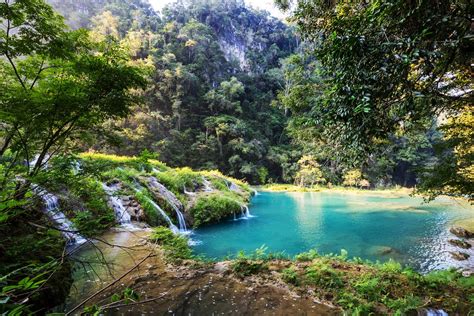 Semuc Champey Alta Verapaz Guatemala R Latinamerica