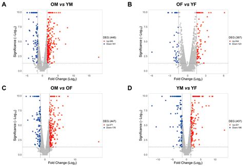 ijms free full text regulation of circadian genes nr1d1 and nr1d2 in sex different manners