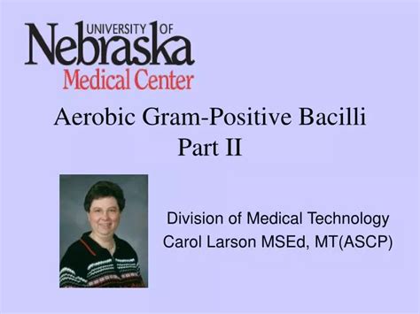 Ppt Aerobic Gram Positive Bacilli Part Ii Powerpoint Presentation