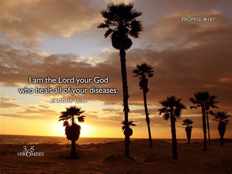 I am the lord who heals all your diseases. I am the Lord your God who heals all of your diseases ...