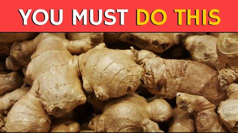 HEALTH BENEFITS OF GINGER YouTube