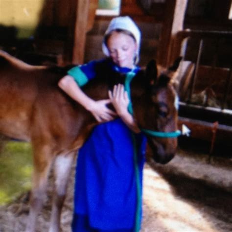 Amish Girl With Horse Amish Country Horse Girl Horses