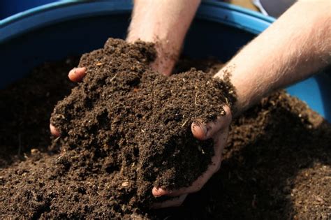 Feed Your Soil To Add Nutrients That Were Depleted Last Year