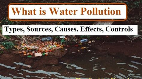 Water Pollution Sources And Effects