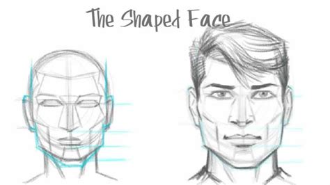How To Draw The Male Face Basic Drawing Tutorial The Shaped Face