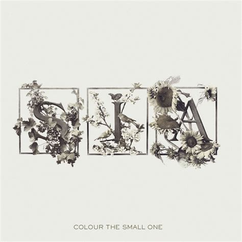 ‎colour The Small One Bonus Track Version Album By Sia Apple Music