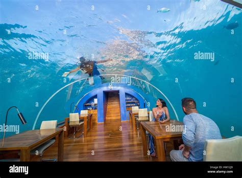 Maldives Rangali Island Conrad Hilton Resort Ithaa Underwater Restaurant Scuba Diver