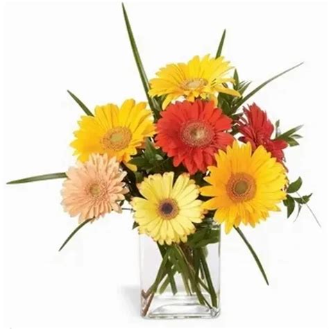 Happiness Bouquet Twigs Flowers And Ts Omaha Ne Local Florist