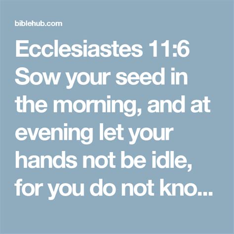 Ecclesiastes 116 Sow Your Seed In The Morning And At Evening Let Your Hands Not Be Idle For