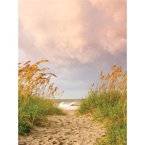 Afternoon Beach Printed Backdrop Backdrop Express