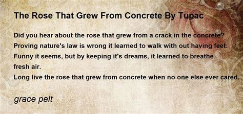 Rose That Grew From Concrete Tupac Poem