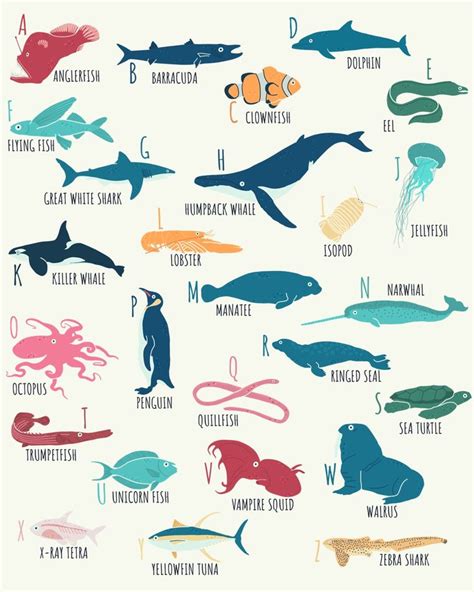 Cute Marine And Ocean Animals Alphabet For Marine Biology T Poster