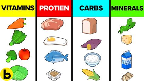 6 Nutrients ~ Certificate Letter