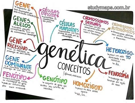 Mapa Mental Material Genetico Gufa