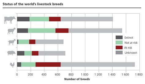 Fao News Article Genetic Diversity Of Livestock Can Help Feed A