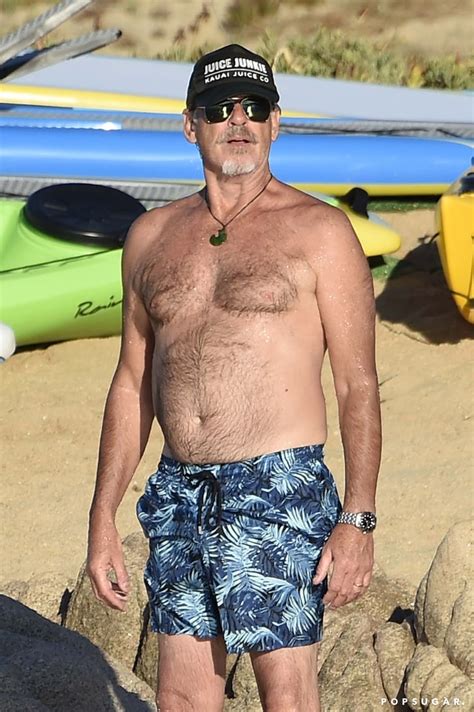 Pierce Brosnan Best Celebrity Shirtless Pictures 2017 Popsugar Celebrity Photo 27