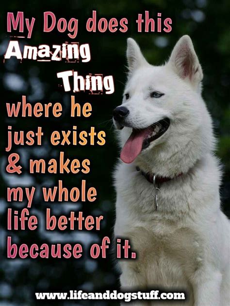 35 Most Beautiful Dog Quotes And Sayings Dog Quotes Dog Quotes Love Dog Quotes Inspirational
