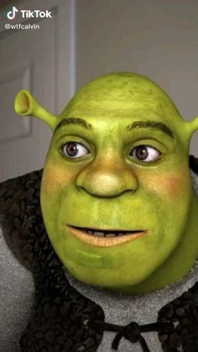 Tik Tok Video Shrek Funny Shrek Shrek Memes