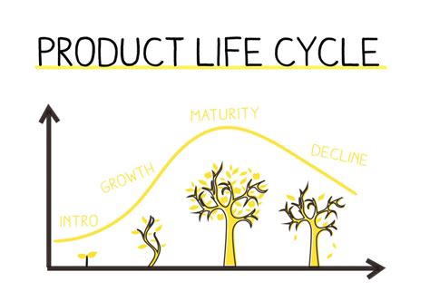 Product Life Cycle Management Guide Great Learning