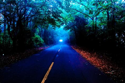 Foggy Road On Autumn Night 4k Ultra Hd Wallpaper Background Image