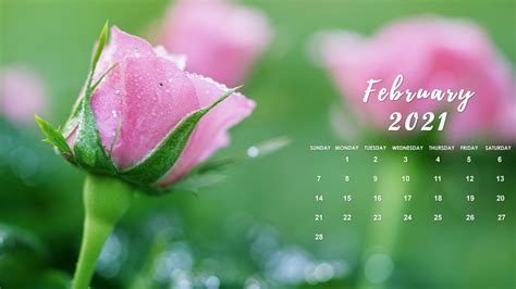 Free Download February 2021 Calendar Wallpapers Top Free February 2021