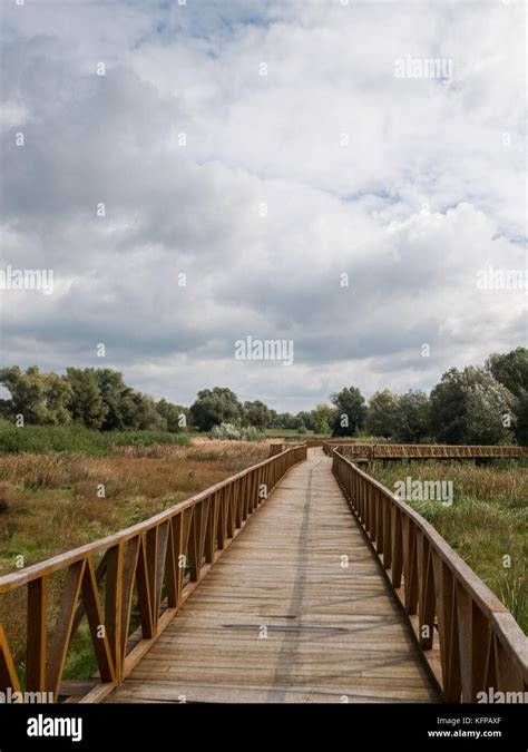 New Wooden Bridge In Nature Park Kopacki Rit In Croatia Stock Photo Alamy