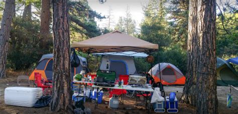 Raptors, songbirds, and an occasional bald eagle may be a portion of the pacific crest trail passes through silverwood lake state recreation area. Silverwood Lake State Recreation Area - 2 Photos ...