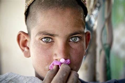 Maybe you would like to learn more about one of these? フリー写真素材|人物|子供|少年・男の子|人と花|アフガニスタン ...