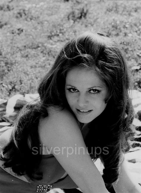 Orig S Claudia Cardinale Dazzling Beauty Glamour Portrait By