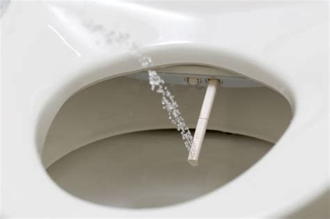The Best Way To Wipe Your Butt According To The Experts Mental Floss