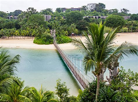 160 Sentosa Bridge Stock Photos Pictures And Royalty Free Images Istock