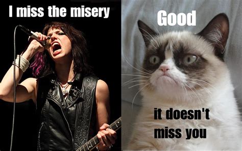 Grumpy Cat The Rocknroll Years March 2013