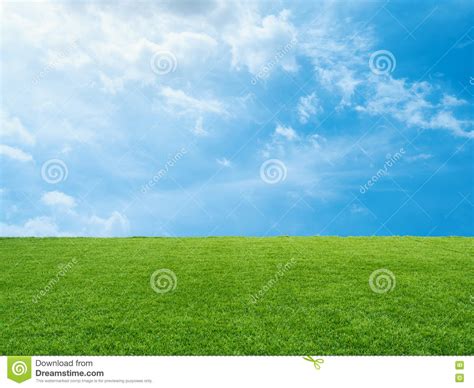 Green Grass On Blue Sky Background Stock Image Image Of Grass Cloudy