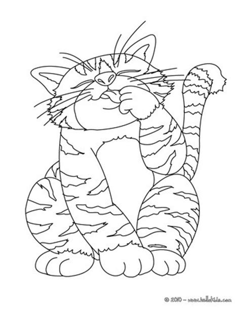 A young cat is playing. Big fat cat coloring pages - Hellokids.com