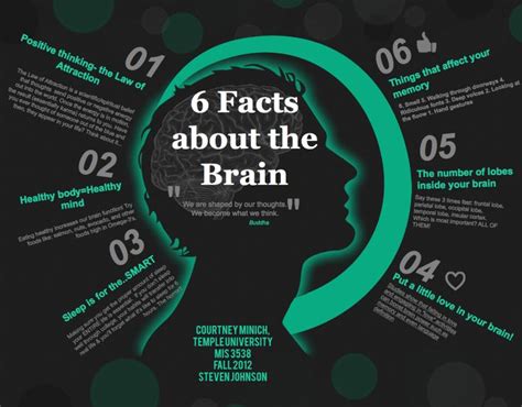 6 Facts About The Brain Infographic The Brain Pinterest