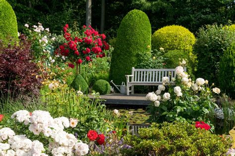 Rosen Im Garten 9 Tipps Für Die Pflege