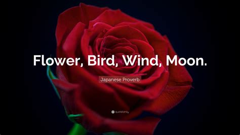 Japanese Proverb Quote Flower Bird Wind Moon