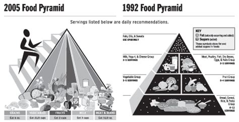 Government Releases New Food Pyramid