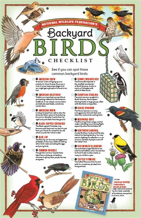 None of our bird seed mixes contain the fillers so. Printable Backyard Birds Checklist: How many of these ...