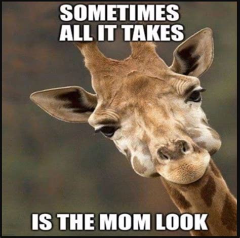 Pin By Amanda Stratton On Being A Mom Funny Animal Jokes Funny