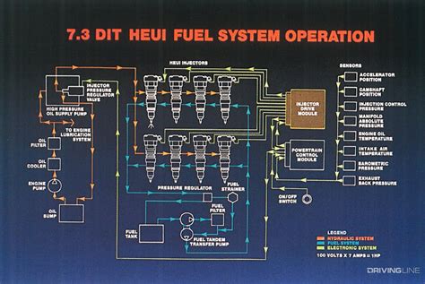 Diagram 1995 Ford 7 3 Diesel Fuel System Diagram Mydiagramonline