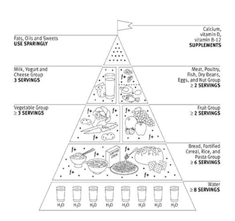 Modified Food Pyramid For Adults Coloring Page Food Pyramid The Best