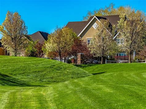 10 Ways To Get A Meticulously Manicured Lawn And Yard This Spring
