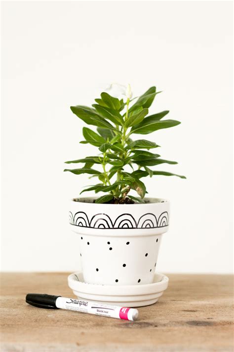 Graphic Hand Painted Flower Pots Lulu The Baker
