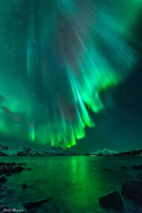 Incredible Northern Lights Display Over Tromsø Norway Taken By Harald