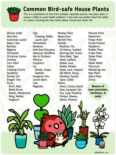 Check spelling or type a new query. Common Bird-safe and Toxic Plants | Pet bird cage, Best ...