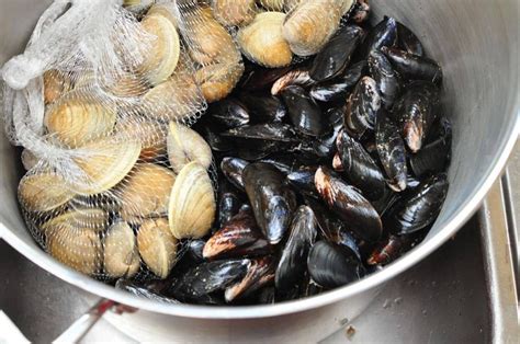 · looking for a grilled seafood recipe? Indoor Clambake | Recipe | Dad cooks dinner, Food recipes ...